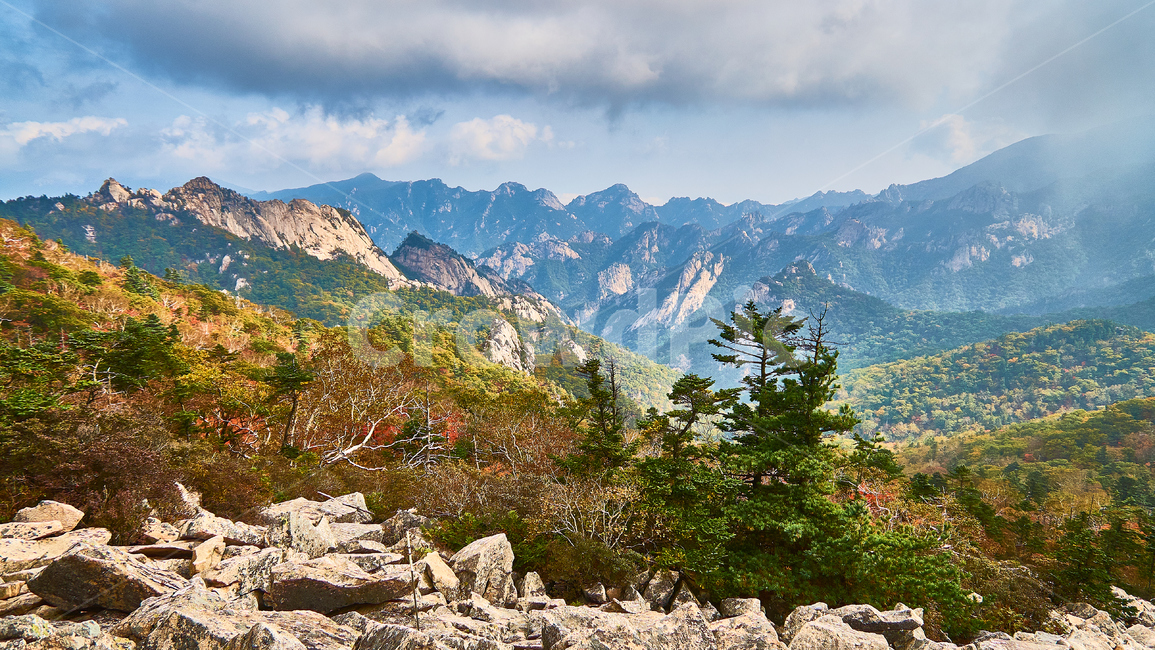 설악산,국립공원,단풍,산,자연,가을,계절,fall,autumn,season,자연,풍경,nature,landscape,한국자연풍경,한국자연경관,korea nature landscape,mountain range,산맥,outdoors,옥외,mountain