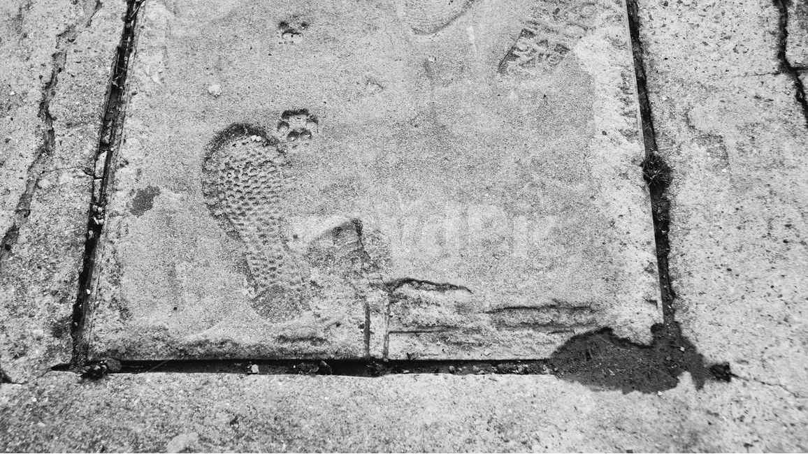 빈티지,거리,일상,감성,공간,vintage,street,daily,mood,space,place,발자국,흑백,흑백사진,빈티지사진,빈티지느낌,빈티지감성,vintage,흑백,모노톤,monochrome,black and white