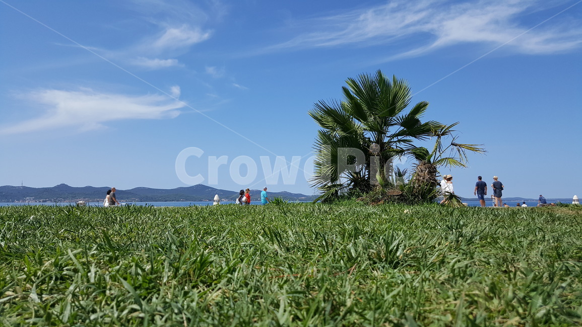 바다,잔디,나무,여름,걷기,해변,하늘,자연,sea,grass,tree,summer,walking,beach,sky,nature