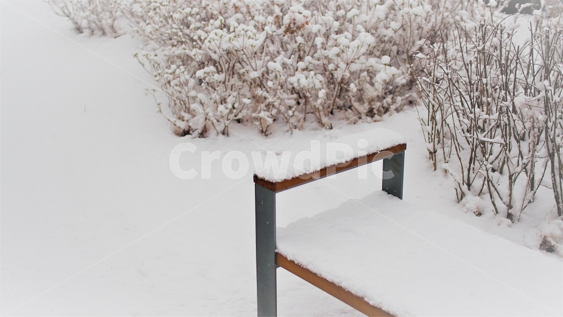 겨울,눈,벤치,의자,공원,나무,정원,감성,자연,12월,눈오는날,풍경,계절,snow,nature,white,winter,겨울,계절,winter,season