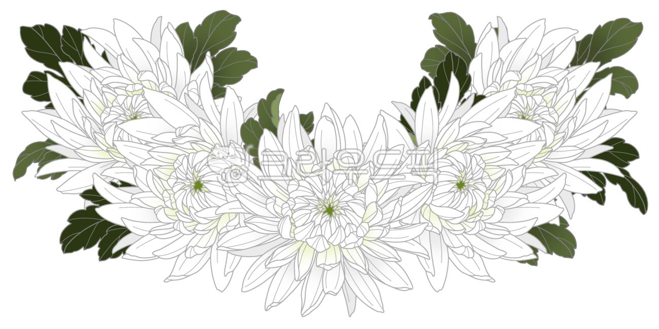 Chrysanthemum,white chrysanthemum,chrysanthemum flower,funeral,funeral service,portrait,funeral home,death,deceased,sadness,condolences,condolence,remembrance,mourning,condolence,repose,condolence,flower,flower,chrysanthemum,flower ill
