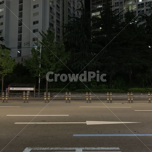 도로,새벽,저녁,새벽도로,새벽풍경