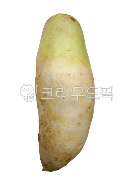food, 음식, 무우, 무, 식물, 사진,이미지,일러스트,캘리그라피 - heebeom작가