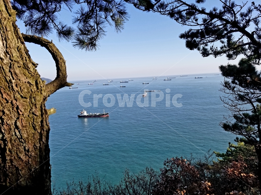 나무,경치,tree,평화,풍경,자연,nature,바다,sea,자연,풍경,nature,landscape