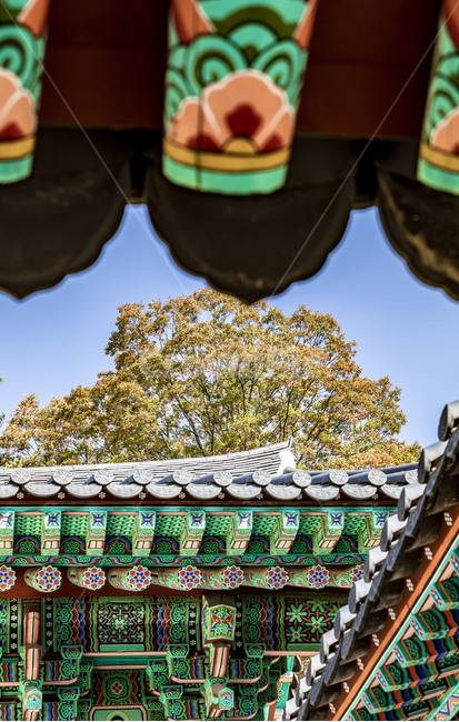 청평사,전통가옥,단청,기와지붕,처마,가을,단풍,문화유산,지붕,roof,건축물,문양,무늬,채색,감성,한국전통,한국문화,korean traditional,korean culture