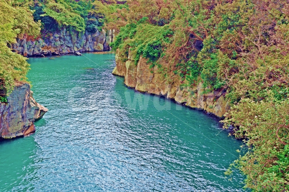 제주도,용연계곡,절벽,에메랄드,푸른,여행,자연,풍경,경치,제주,나무,해안,해안절벽,절경,비경,한적,조용,자연,풍경,nature,landscape,한국자연풍경,한국자연경관,korea nature landscape,promontory,곶,outdoors,옥외,scenery