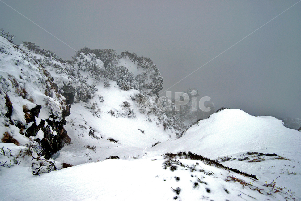 겨울산,한라산,설경,설산,한라산설경,겨울,안개,운무,겨울,계절,winter,season