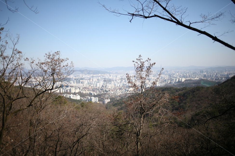 나무,풍경,tree,북한산,산,mountain,forest,숲