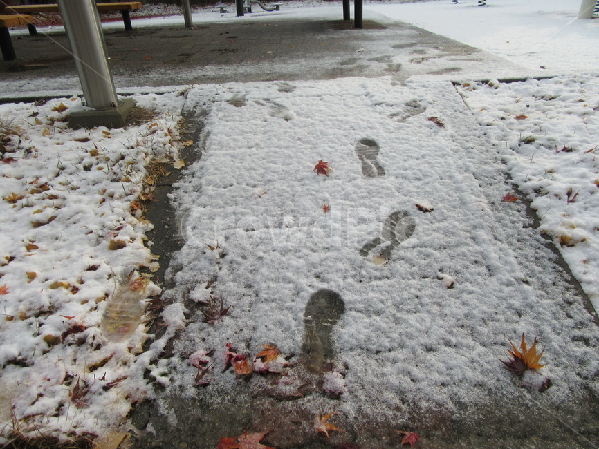 발자국,눈,첫눈,단풍잎,동네,겨울,계절,winter,season