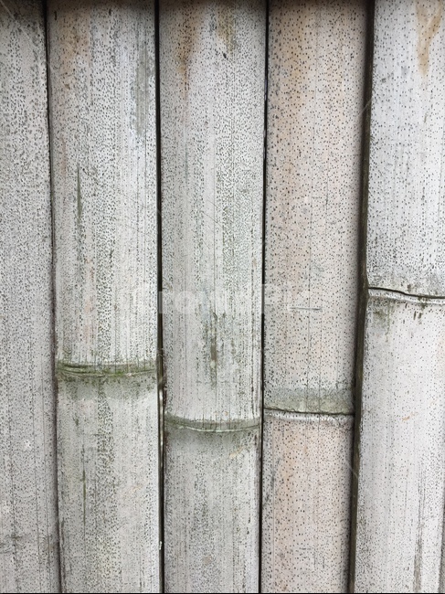 대나무,배경,패턴,무늬,질감,bamboo,텍스처,질감,패턴,texture,pattern