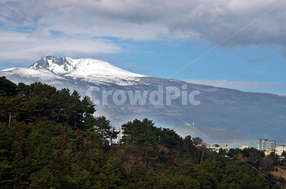 한라산,제주,중문,설산,구름,자연,자연,풍경,nature,landscape,한국자연풍경,한국자연경관,korea nature landscape,제주도,jeju,jeju island,outdoors,옥외,mountain,산,mountain range,산맥,tree,나무,fir,전나무,plant,식물,abies,아비