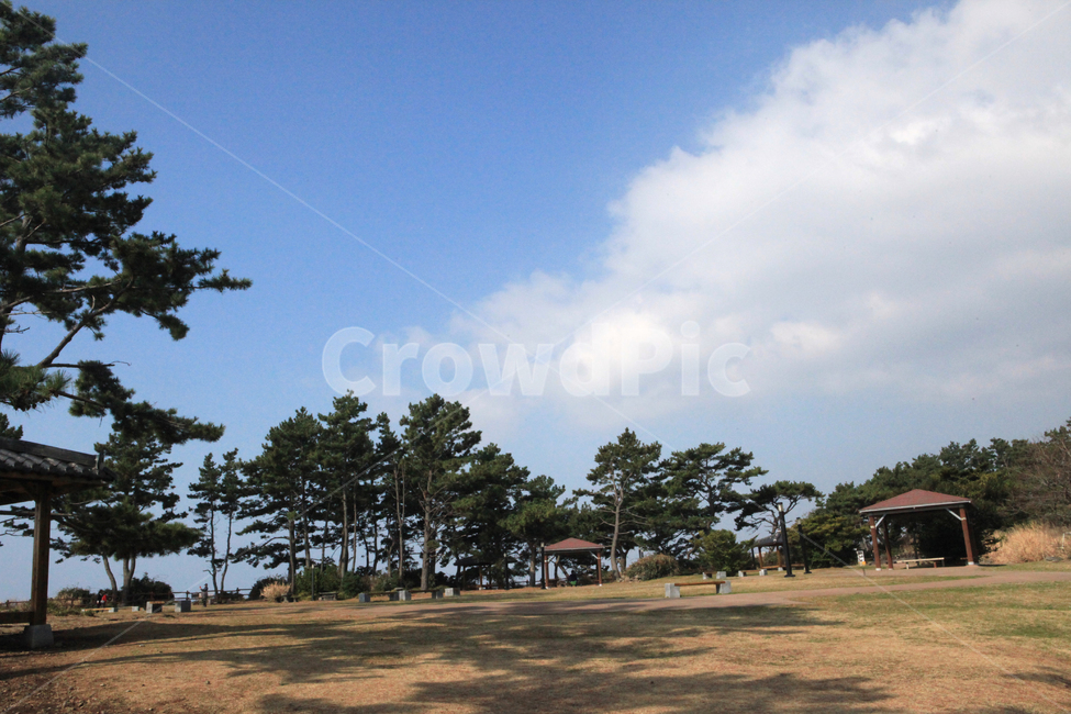 cloud,sunny day,blue sky,Clear Weather Park,grass,clear,tree,park