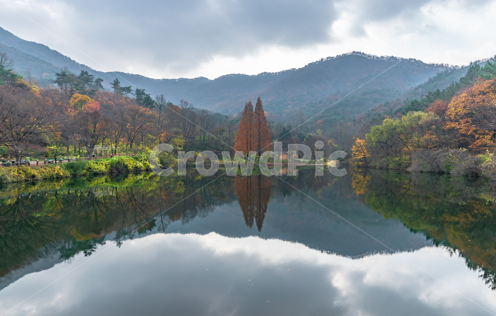 단풍,풍경,가을,오색단풍,반영,가을,계절,fall,autumn,season,자연,풍경,nature,landscape,한국자연풍경,한국자연경관,korea nature landscape,water,물,outdoors,옥외,lake,호수,tree,나무,plant,식물,abies,아비,fir,전나무