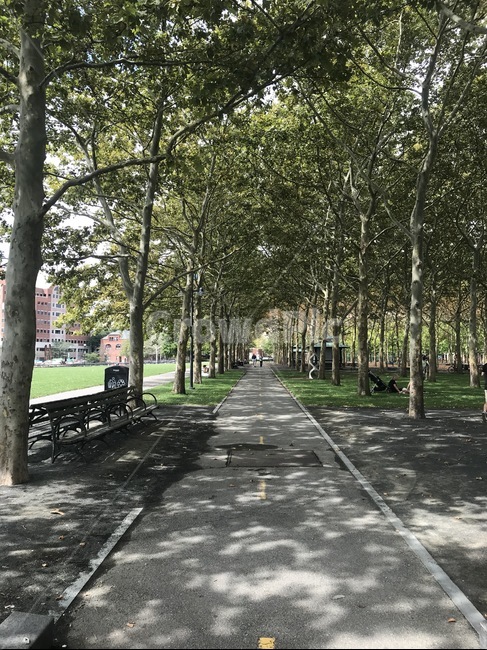 길,결정,거리,걷기,공원,oneway,나무길,street,park,스트릿