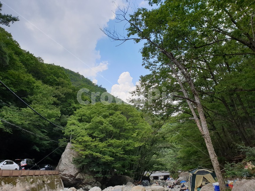 산,구름,파랑,bluesky,녹색초록,green,자연풍경,여름,나무,숲