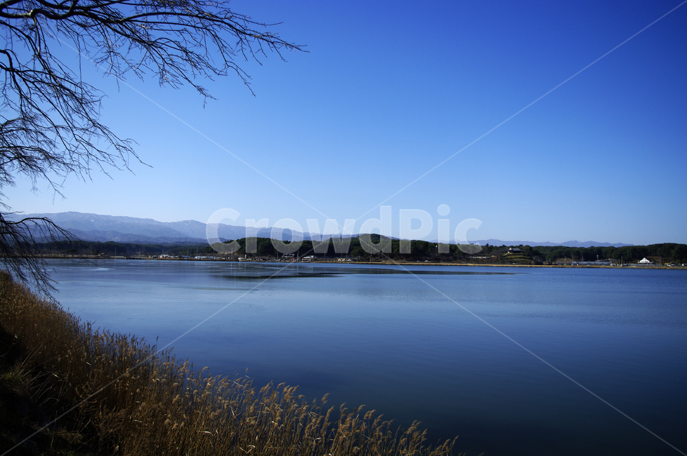 나무,호수,하늘,겨울,파란,color,겨울,계절,winter,season,자연,풍경,nature,landscape,water,물,outdoors,옥외,reservoir,저수지