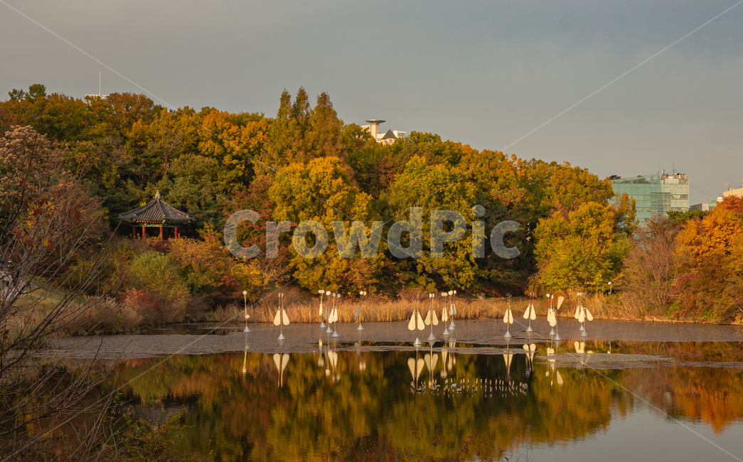 자연,옥외,물,단풍나무,바람개비,연못,nature,outdoors,water,maple,tree,pond,pavilion,정자,가을,계절,fall,autumn,season,자연,풍경,nature,landscape