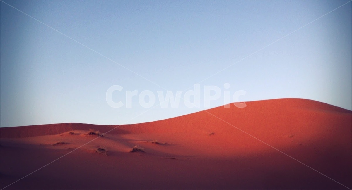 사막,사하라,풍경,여름,모로코,desert,sahara,morocco,summer,자연,풍경,nature,landscape,해외,외국,세계,foreign,oversea,world,세계자연풍경,해외자연풍경,외국자연풍경,world nature landscape,soil,흙,sand,모래,outdoors,옥외,dune,모래 언덕