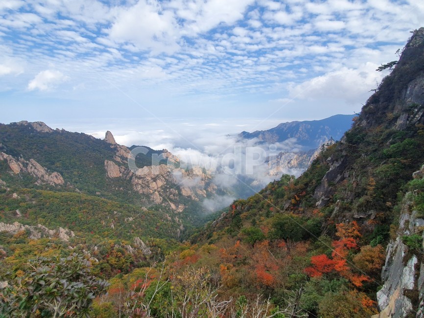 설악산,가을,단풍,국립공원,운해,공룡능선,세존봉,가을,계절,fall,autumn,season,자연,풍경,nature,landscape,한국자연풍경,한국자연경관,korea nature landscape,outdoors,옥외,mountain,산
