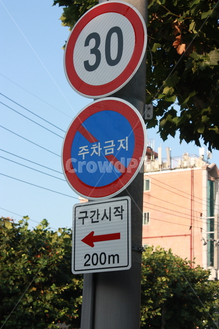 길,건물,표시판,indicatorboard,tree