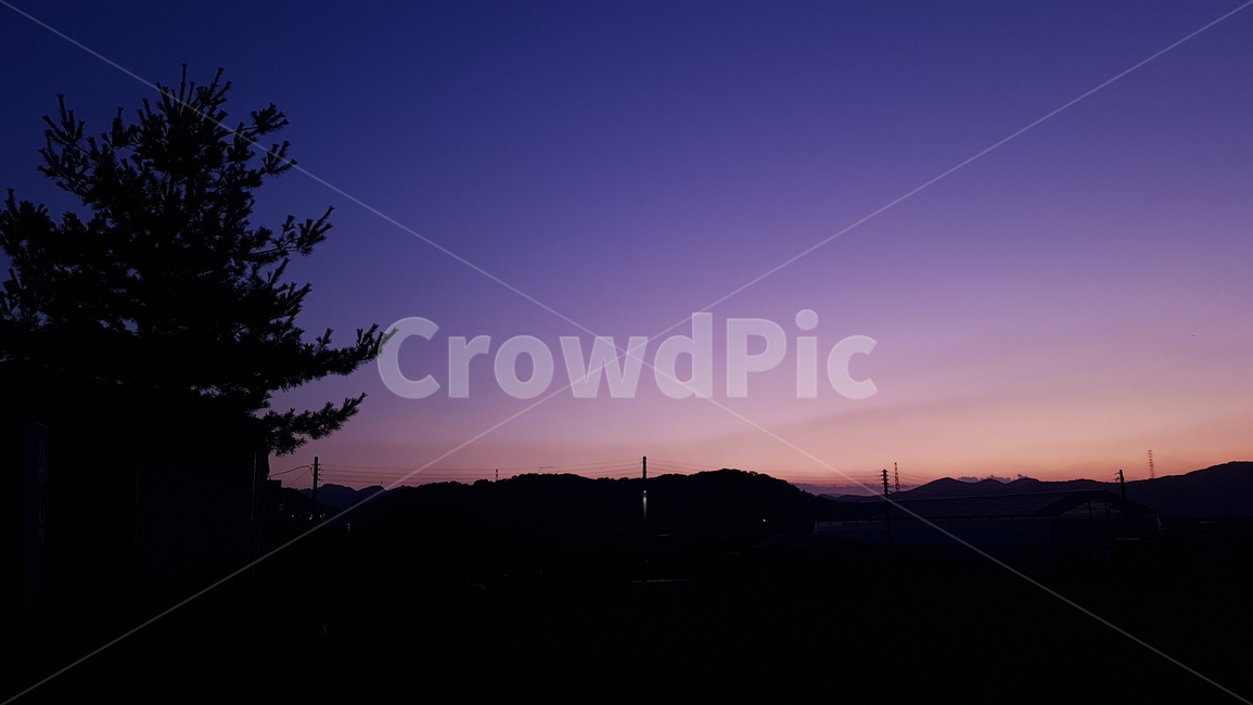 자연,실루엣,outdoors,핑크하늘,역광