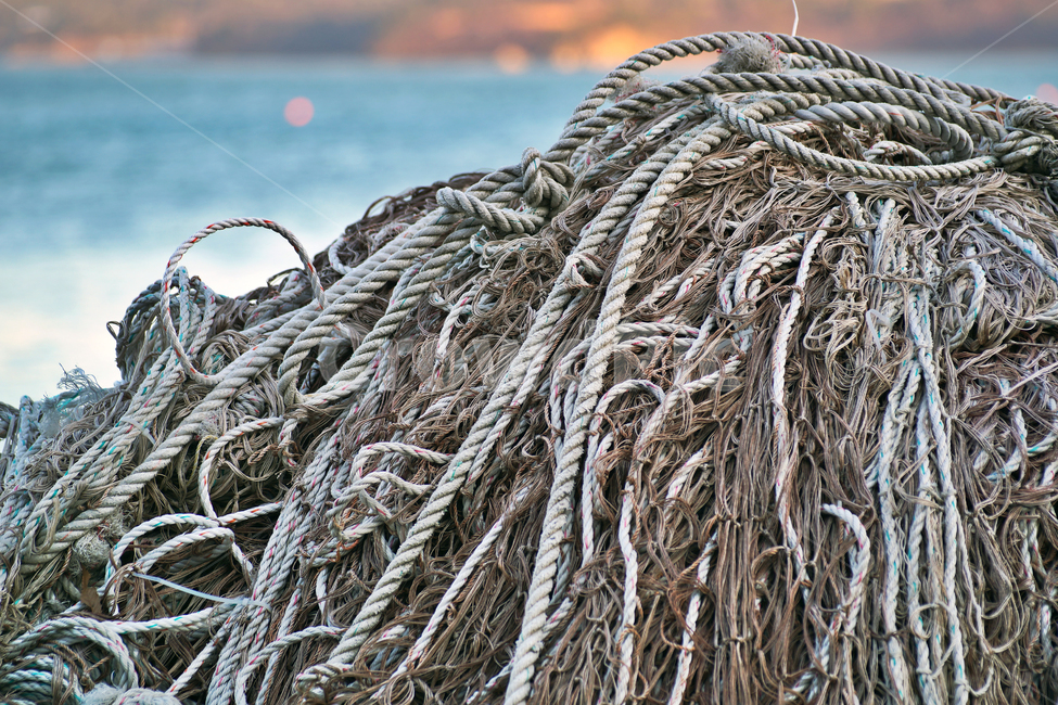 그물,밧줄,고기잡이,바다,어선,도구,어망,그물망,물고기,어업,어업,fishery,fishing industry