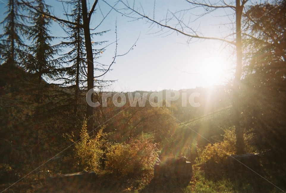 나무,햇살,숲,따뜻한,자연,그림자,눈부신,산,필름카메라,tree,sun,forest,warm,shadow,mountain,filmcamera,sunset,europe,italy,자연,풍경,nature,landscape,flare,플레어,light,빛