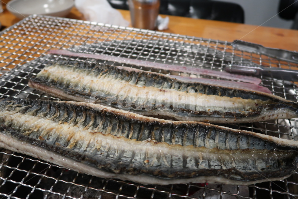 물고기,fish,sealife,해양생물,장어,장어구이,불판,음식,koreafood