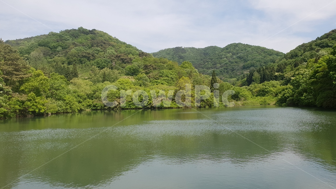 화순,세량지,호수,저수지,투영,세량제,산벚꽃