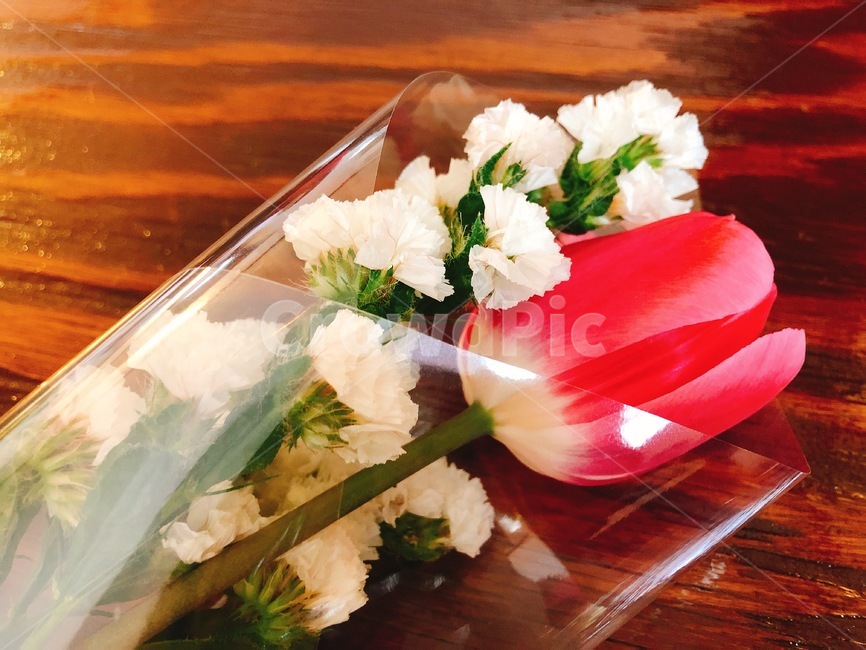 튤립,꽃다발,꽃,봄,플라워,flower,분홍,꽃,flower,기념일,축하,anniversary,congratulation,celebrate,celebration