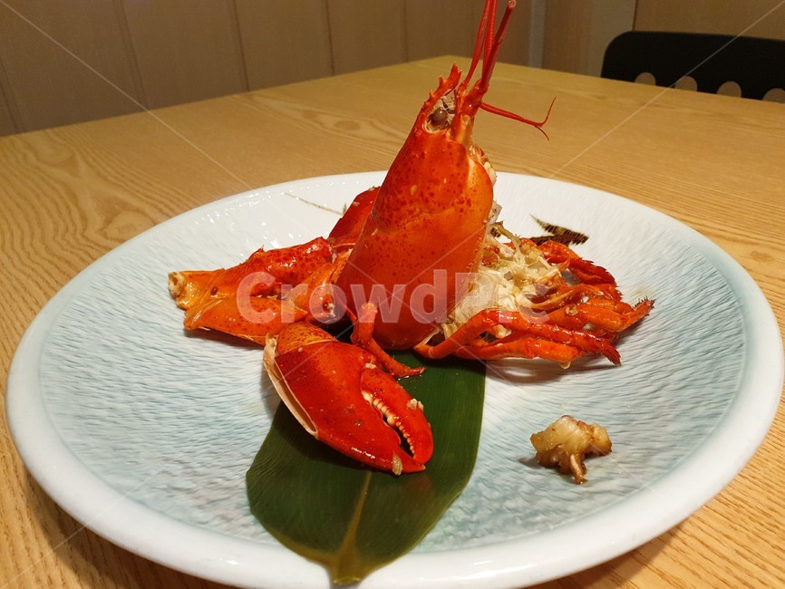 food,sealife,해양생물,seafood,랍스터,음식,식재료,요리,food,cook,meal,dishes,food reserves,수산물,해산물,fishery products,seafood