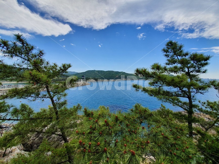 산,바다,동해,푸른,하늘,탁트인,감성