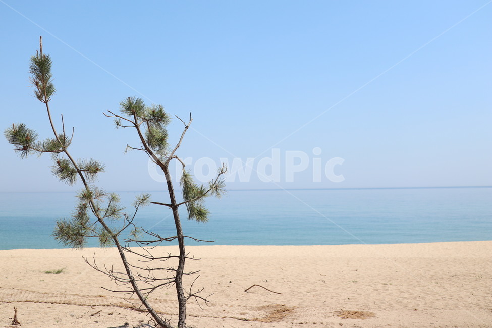 강릉,강원도,바다,풍경,노을,석양,해변,항구