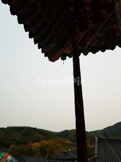 종,절,평화,저녁,안정,한국전통,한국문화,korean traditional,korean culture