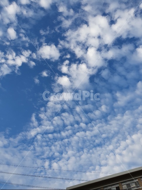 구름,하늘,여름,가을,건물,전선,전기줄,cloud,sky,nature,자연,풍경,nature,landscape,outdoors,옥외,azure sky,푸른 하늘