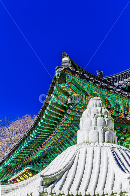 단청,탑,문양,무늬,문화유산,사찰,한국전통,한국문화,korean traditional,korean culture,종교,신앙,religion,belief,faith,건축물,건물외관,exterior,building,structure,architecture,construction