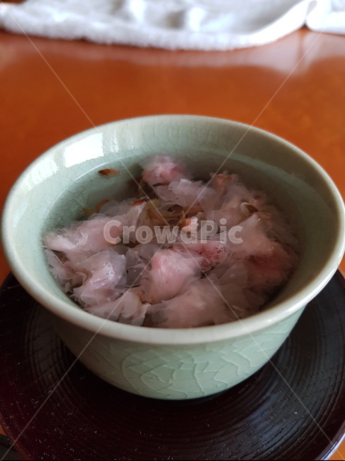 벚꽃차,꽃차,절임꽃차,차,일본차,음료수,drink,beverage