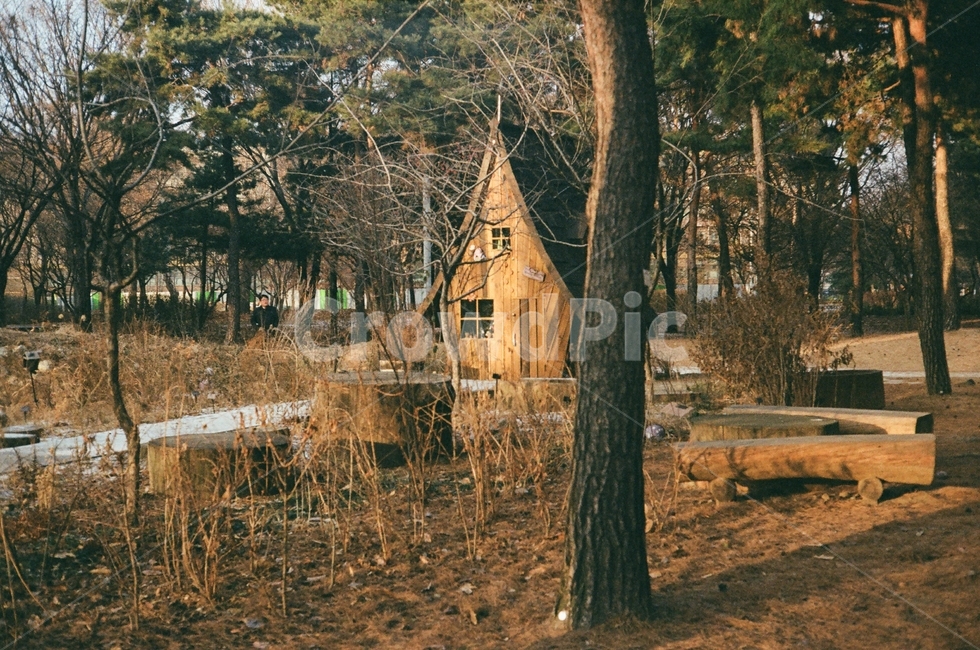 서울숲,나무,숲속,겨울,풍경,자연,자연,풍경,nature,landscape,outdoors,옥외,building,건물,housing,주택