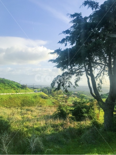 나무,nature,자연,들,grassland,field,들판,초원