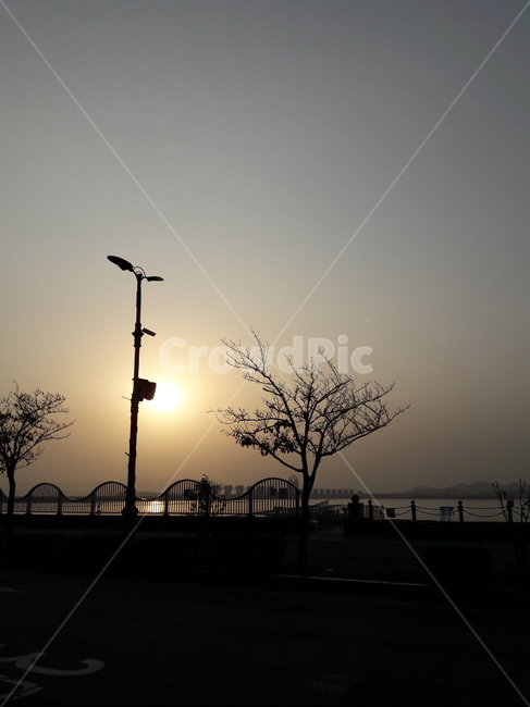 가로등,street,lamp,light,silhouette,실루엣,옥외,outdoors,실루엣,그림자,silhouette,shadow