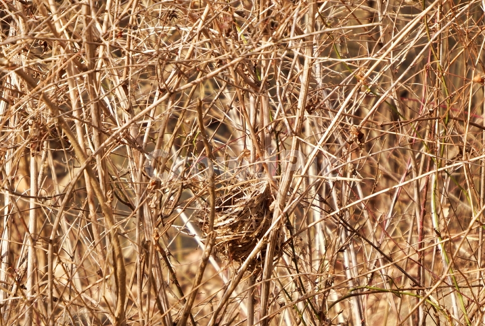 새집,산,산행,가을산속,산속,작은새집,자연,풍경,nature,landscape,grass,잔디,plant,식물