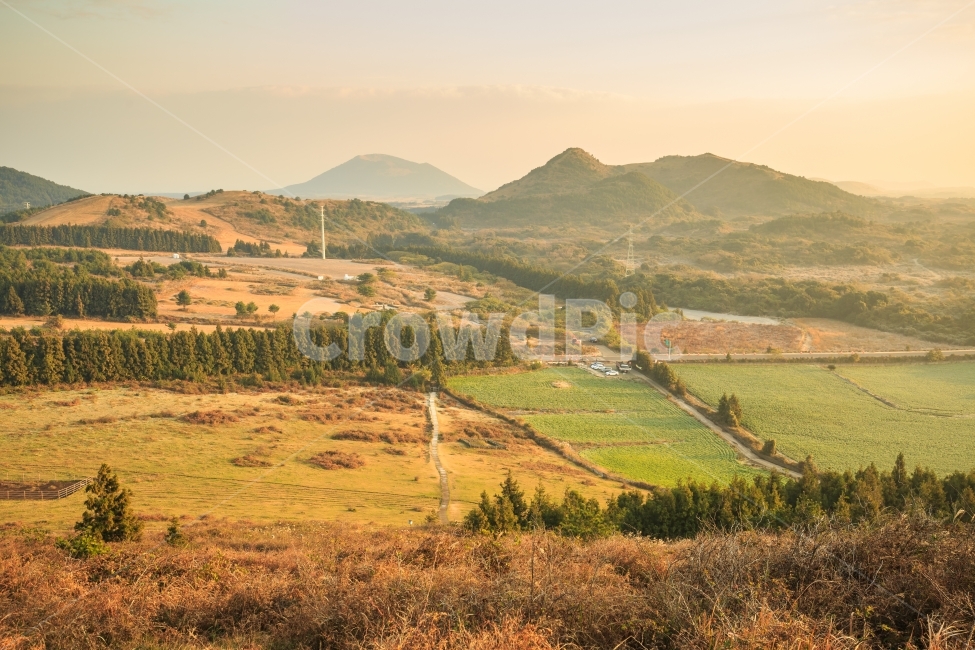 Brightness,sunshine,cannon,cow,milk cow,canon,spring,cloud,Reed,Udo Island,Jeju travel,golden,sight,Work,Jeju sunrise,sky,Seongsan Sunrise Peak,warmth,Jeju reeds,Jeju sky,Baekyak Oreum,nice photo,ocean,field,autumn,pylon,Saebyeol,landscape photography,sun