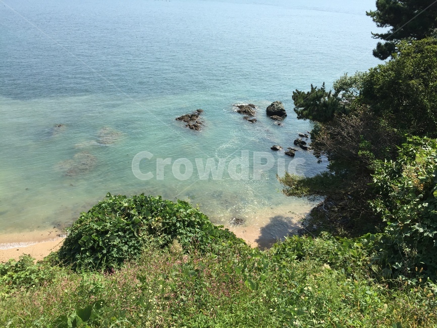 자연,바다,초원,나무,들판,자연,풍경,nature,landscape,promontory,곶,outdoors,옥외,land,땅,ocean,대양,water,물,sea,shoreline,해안선
