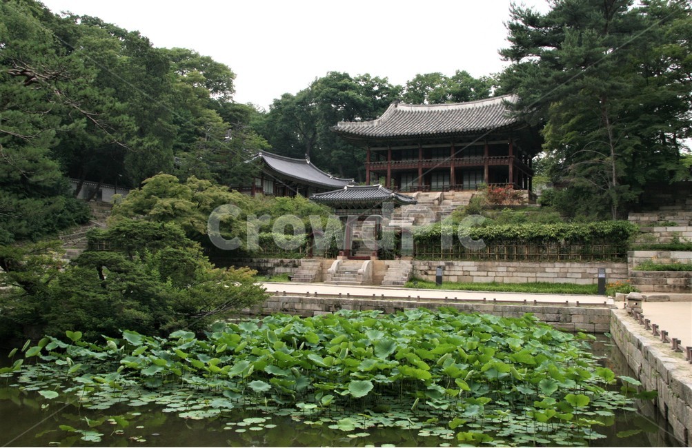 창덕궁후원,비원,창덕궁,송파문화원,서울5대궁궐,한국전통,한국문화,korean traditional,korean culture,건축물,건물외관,exterior,building,structure,architecture,construction