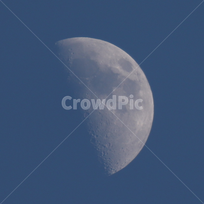 달,moon,반달,달빛,우주,망원,하늘