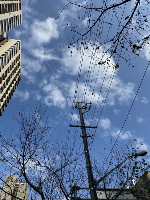 utilitypole,전신주,가로등,가로수,전봇대,파란하늘,구름,뭉게구름,가을하늘,도시,city,hometown