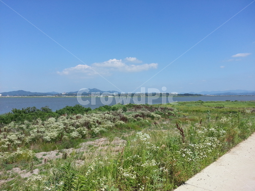 자연,풍경,하늘,맑음,삽교천,파란색,초록색,풀,하천,blue,nature,green,한적함,자연,풍경,nature,landscape,land,땅,outdoors,옥외
