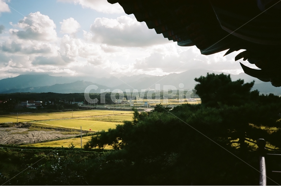 하늘,자연풍경,구름,시골,논밭,시골풍경,필름사진,자연,풍경,nature,landscape,한국자연풍경,한국자연경관,korea nature landscape,시골,마을,country,rural,town