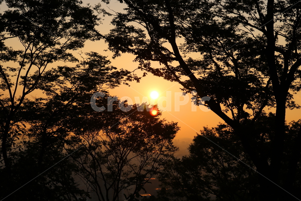 노을,석양,하늘,자연,나무,태양,붉은노울,자연,풍경,nature,landscape,실루엣,그림자,silhouette,shadow,outdoors,옥외,dawn,새벽,red sky,붉은 하늘,sunset,일몰,sky,dusk,황혼,sunlight,햇빛