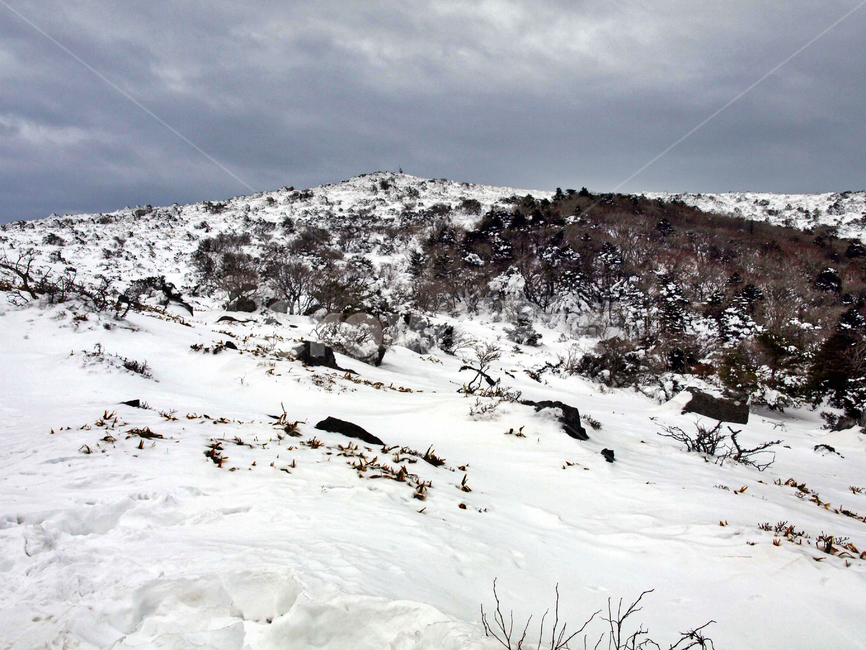 어리목,제주도,한라산,설경,겨울산,눈,등산,설화,겨울,계절,winter,season,자연,풍경,nature,landscape,outdoors,옥외,mountain,산